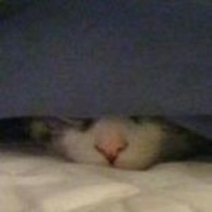 Meet your Posher, Darla